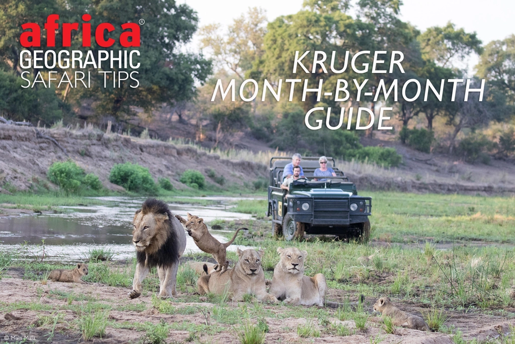 Kruger month-by-month guide