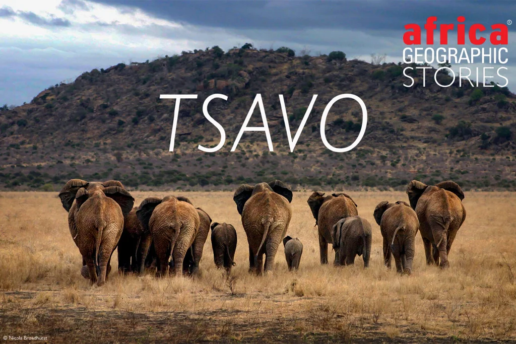 Tsavo legends