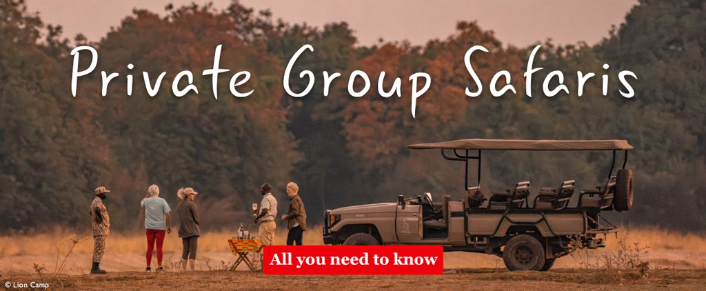 Private group safaris