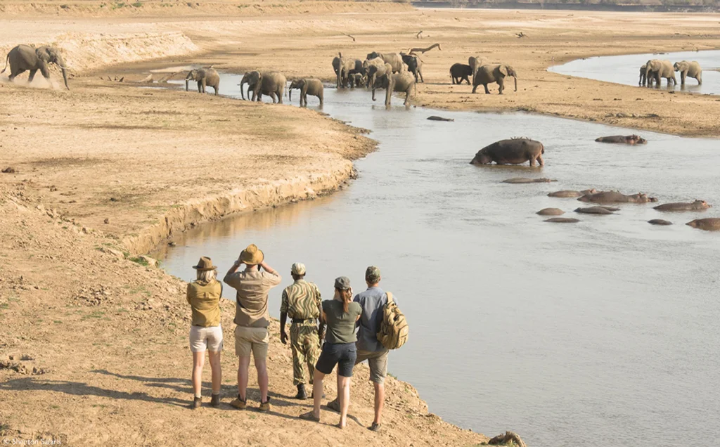 Ultimate South Luangwa - 8 days