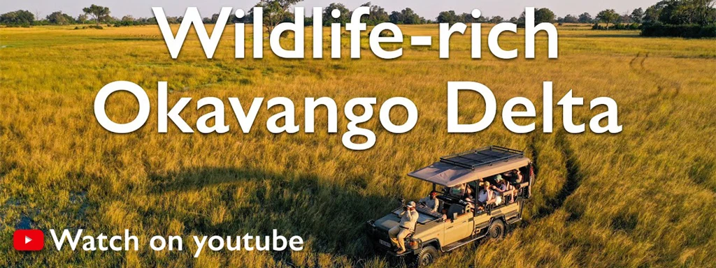 Wildlife-rich Okavango Delta