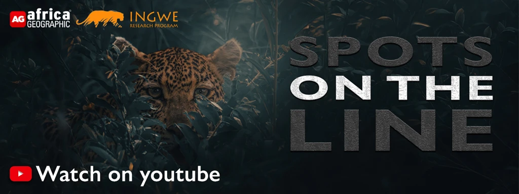 Spots On The Line