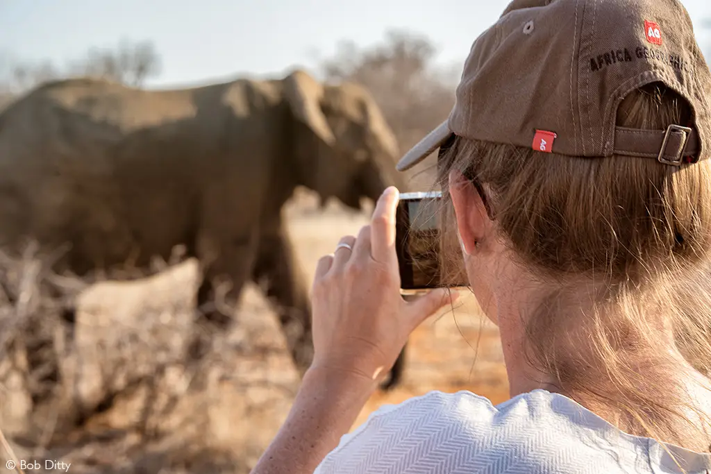 Africa's Leading Luxury Safari Company 2026 Africa Geographic World Travel Awards