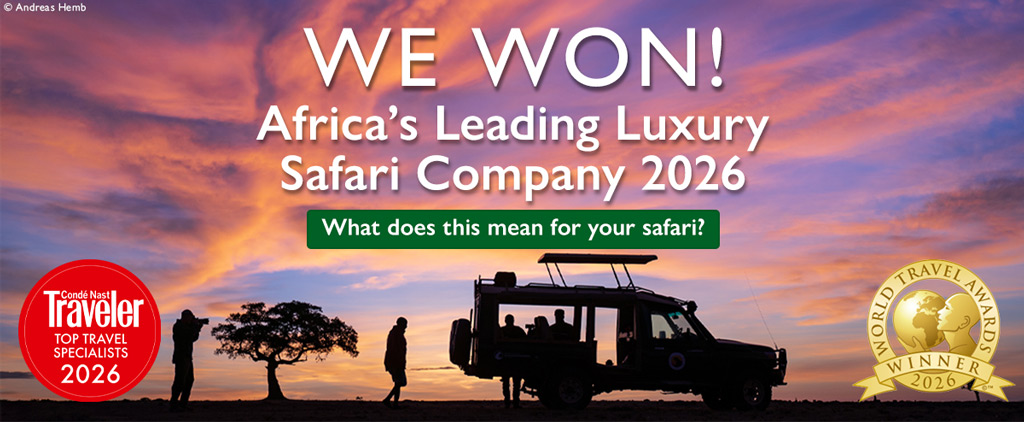 We Won! Africa's Leading Luxury Safari Company 2026