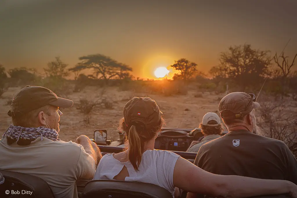 Africa's Leading Luxury Safari Company 2026 Africa Geographic World Travel Awards