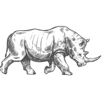 rhinos