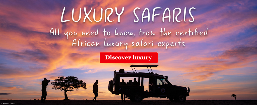 Luxury Safaris