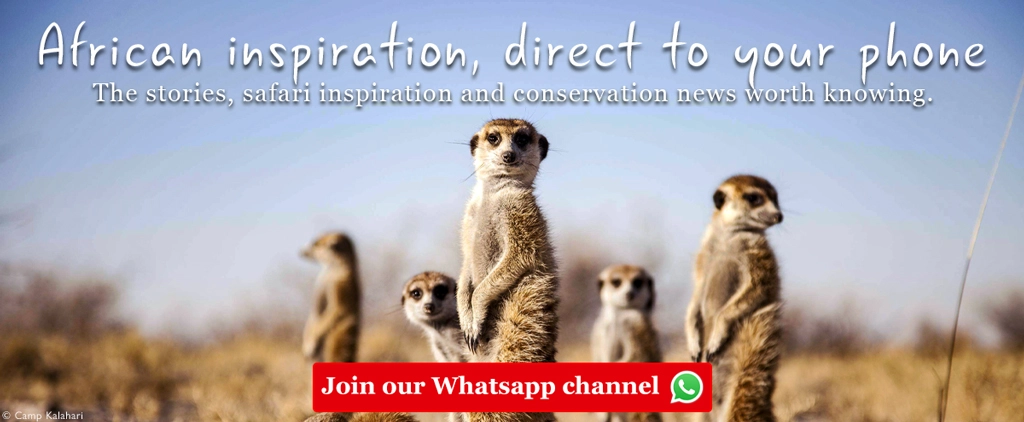 Join our Whatsapp channel