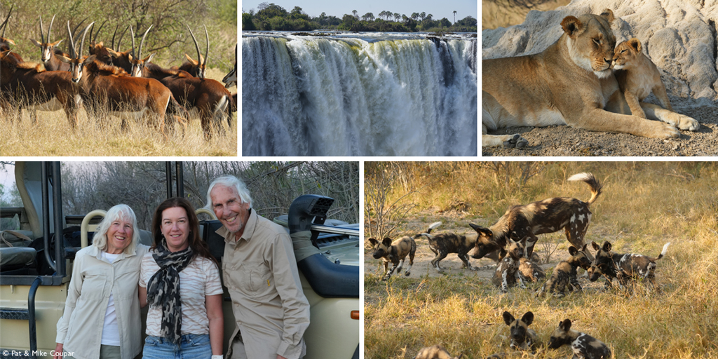 Our safari guests say