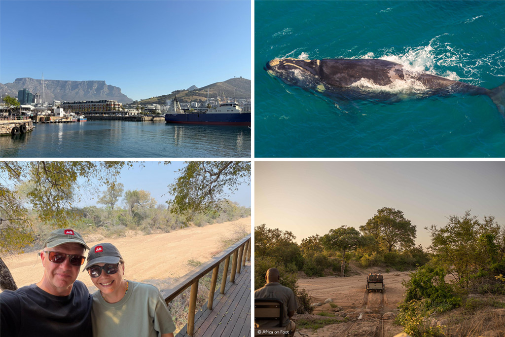 Our safari guests say...