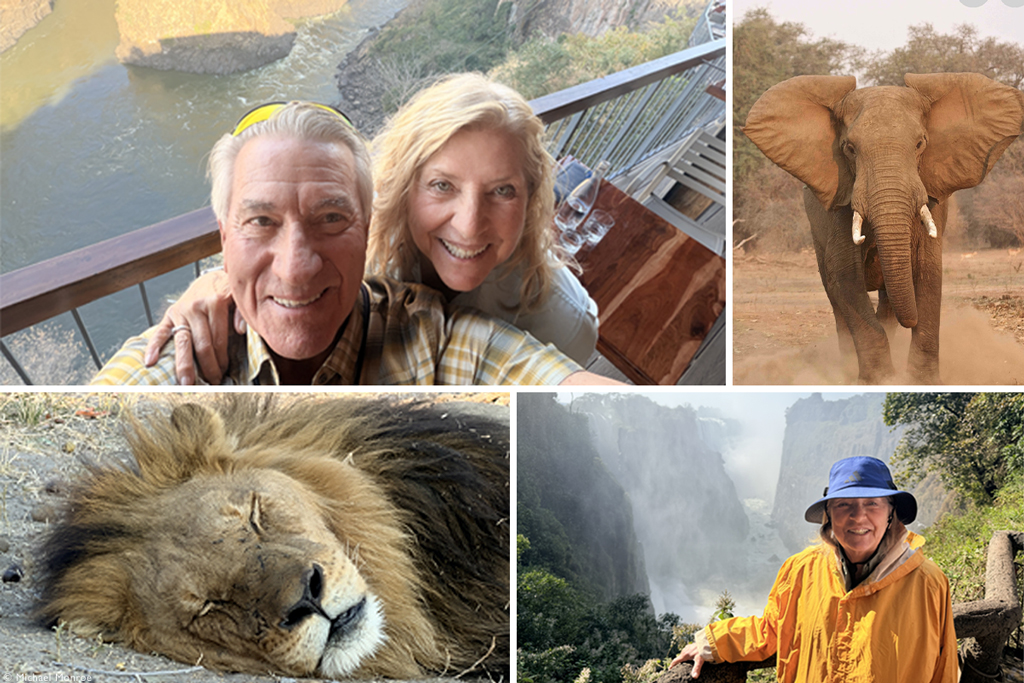 Our safari guests say
