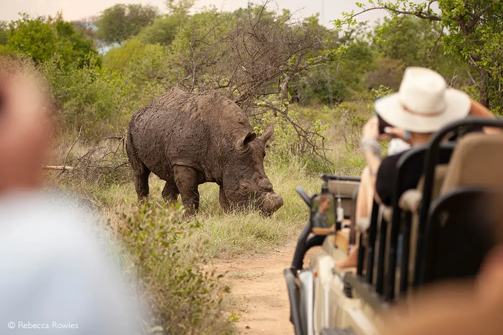 Africa Geographic safaris