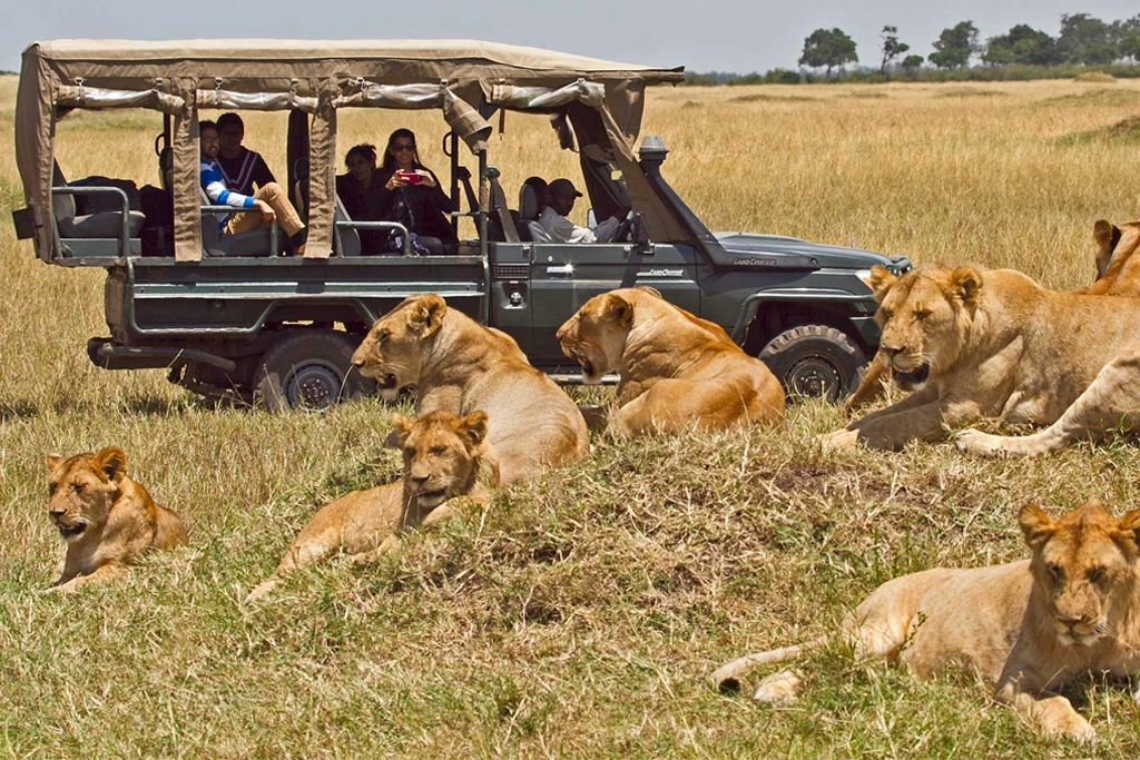 Maasai Mara and Diani bush & beach - 12 days 