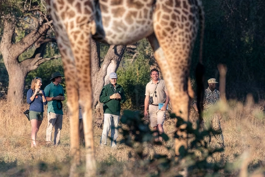 South Luangwa, Victoria Falls & Lake Malawi safari - 13 days