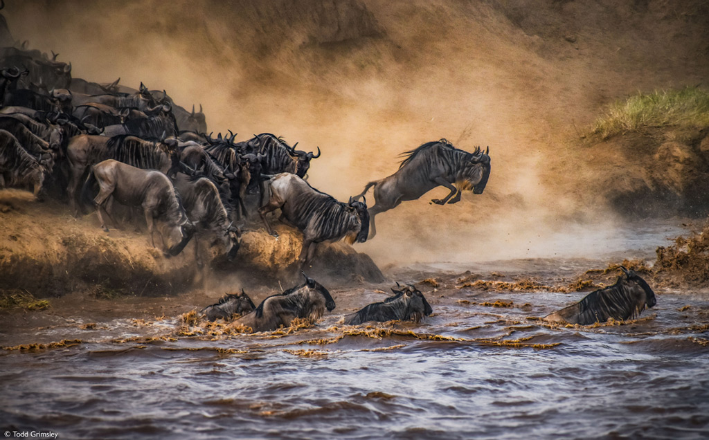 The iconic Kenya safari