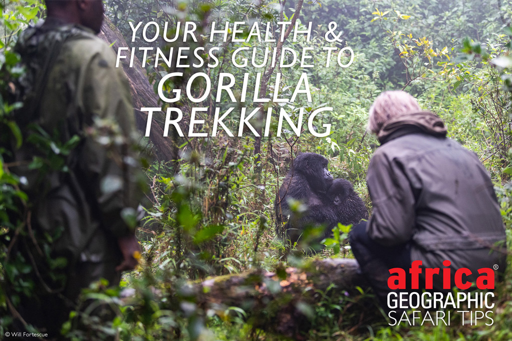 Gorilla Trek Prep