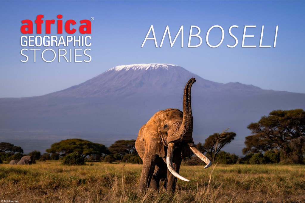 Legendary Amboseli