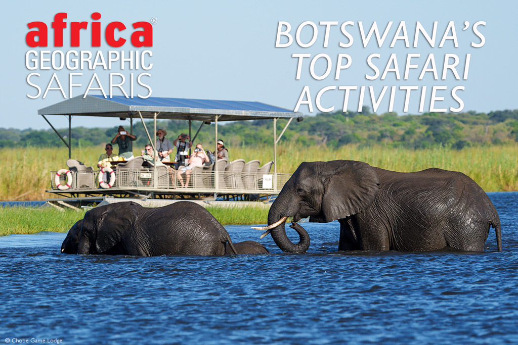 Botswanas's Top Safari Activities