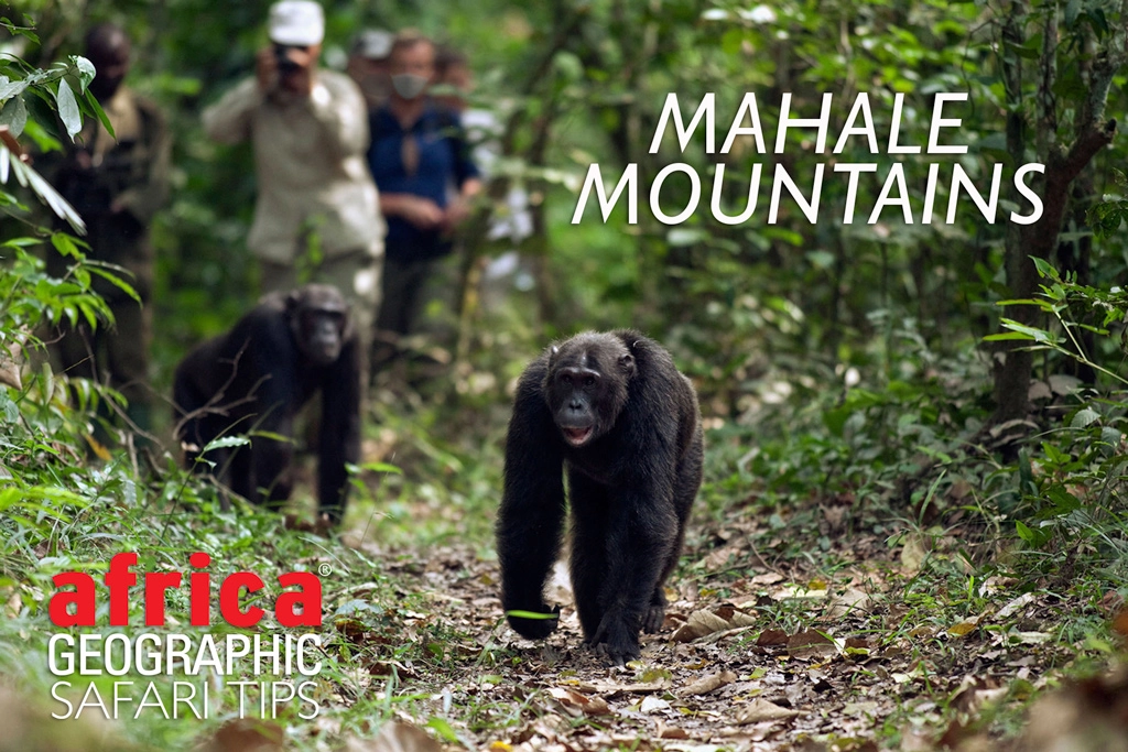 Mahale Mountains