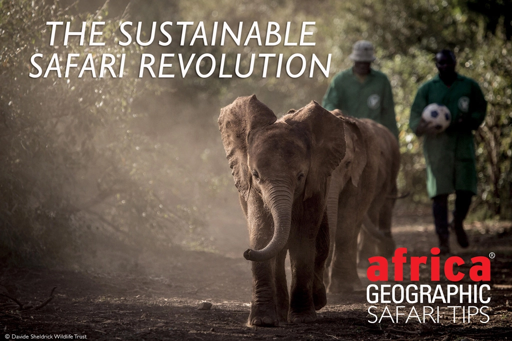 Safari Revloution