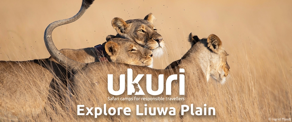 Ukuri
