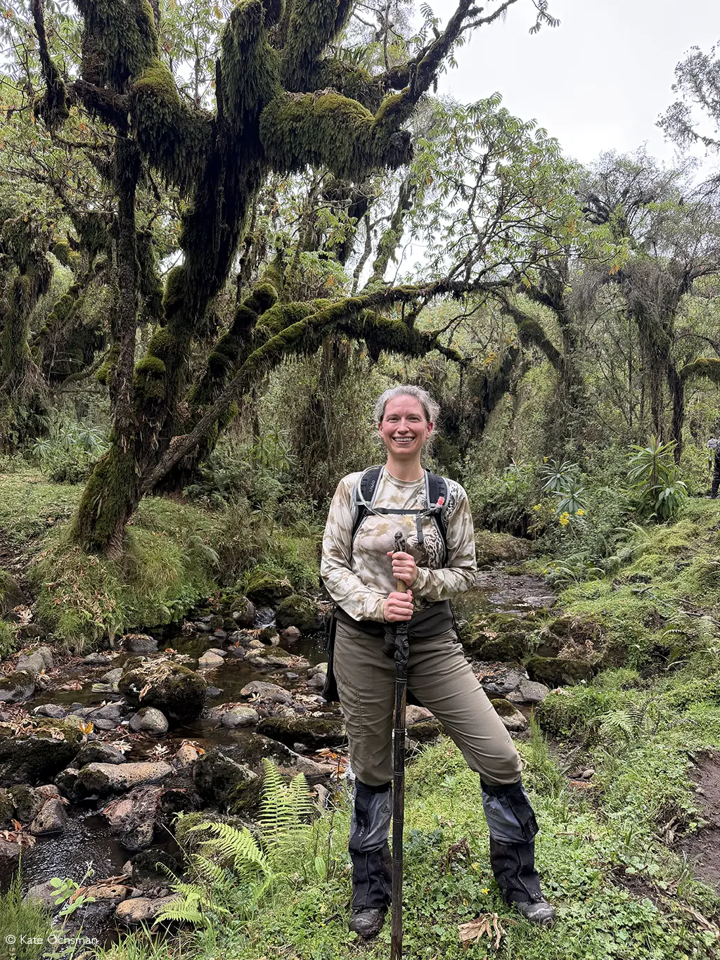 great ape trekking rwanda volcanoes and nyungwe