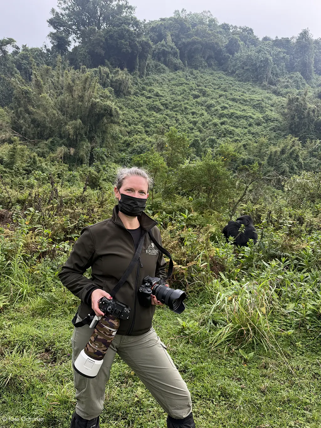 great ape trekking rwanda volcanoes and nyungwe