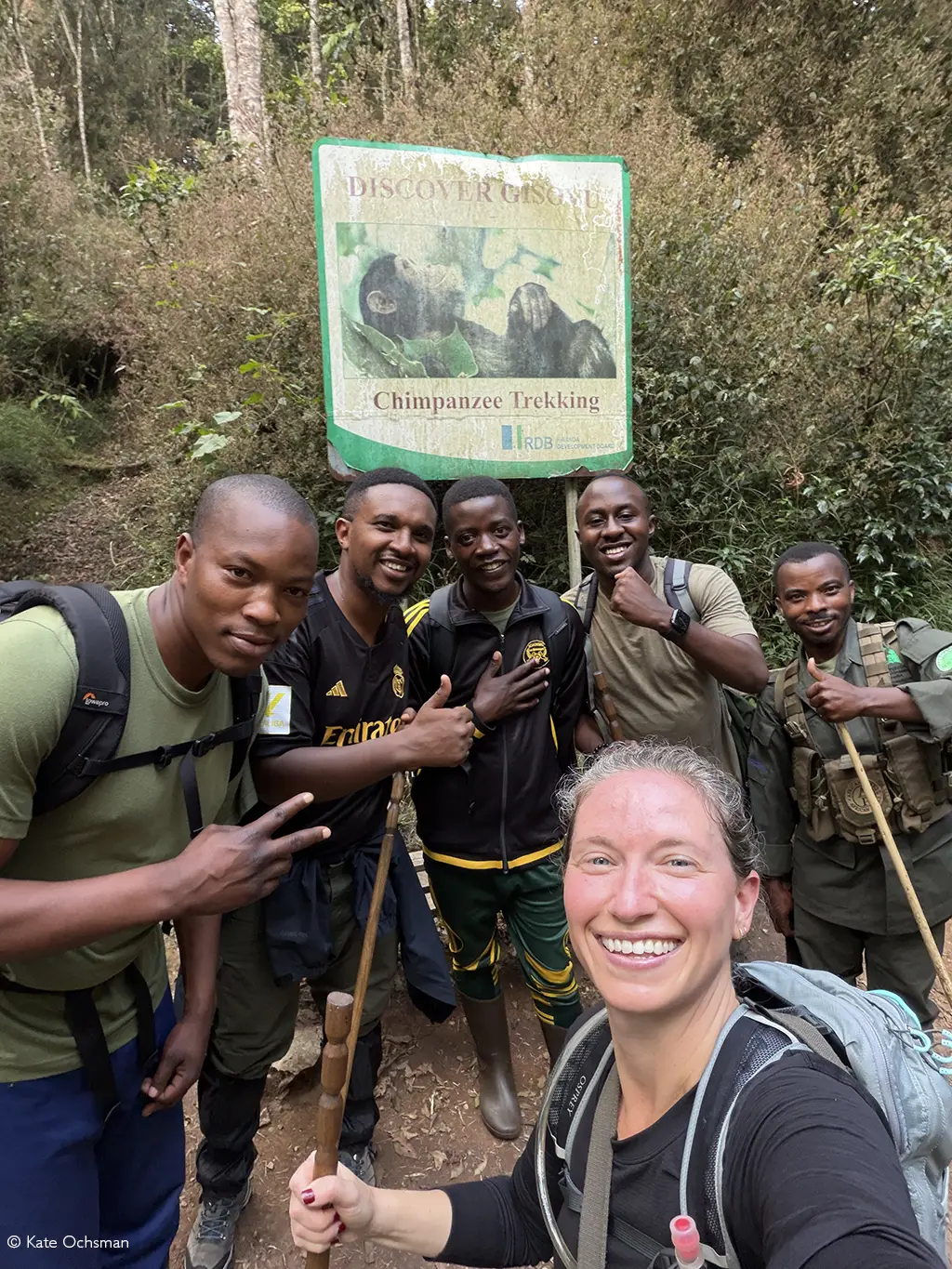 great ape trekking rwanda volcanoes and nyungwe
