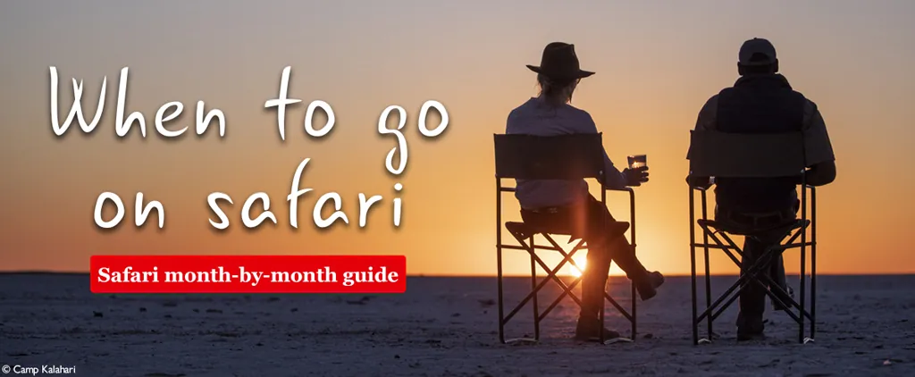 When to go on safari