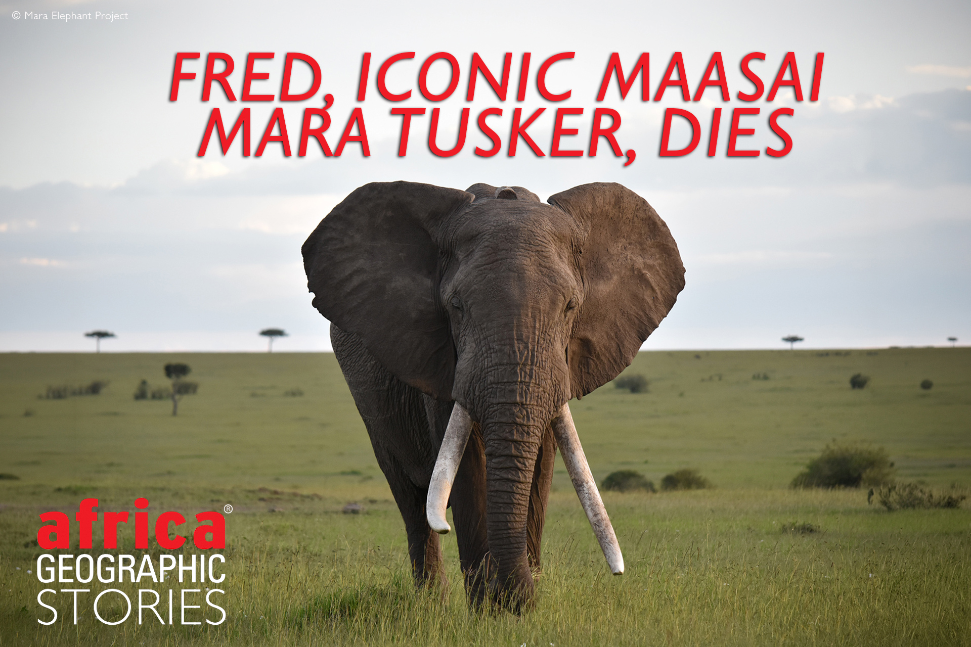 Fred tusker dies
