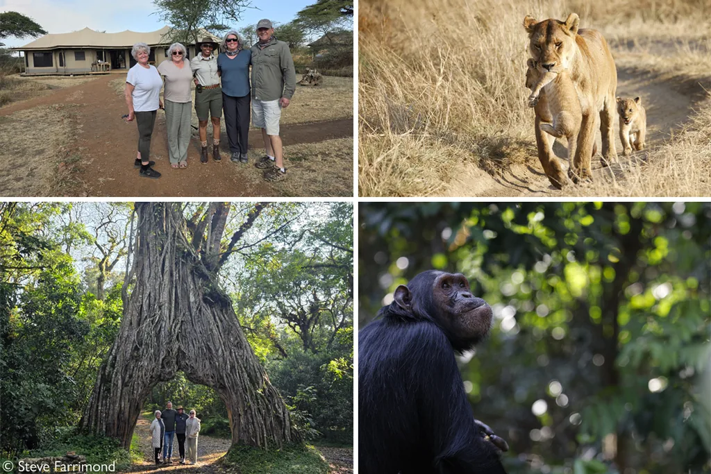 Our safari guests say