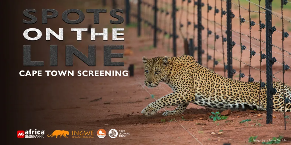 Spots on the Line