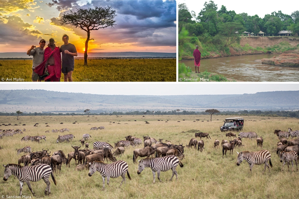 Our safari guests say