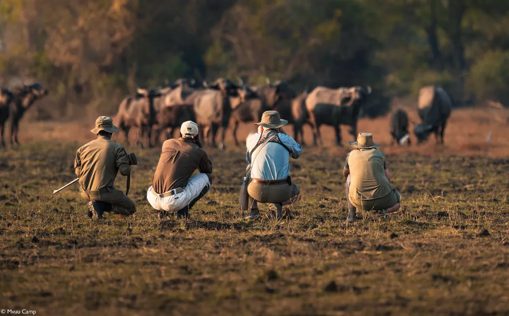 Best of Malawi’s safari parks - 10 days