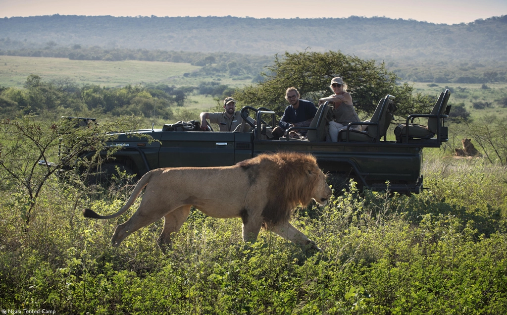 Cape Town | Greater Kruger | Victoria Falls - 11 days safari