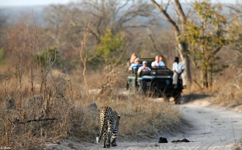 MalaMala & Madikwe Big 5 safari - 9 days