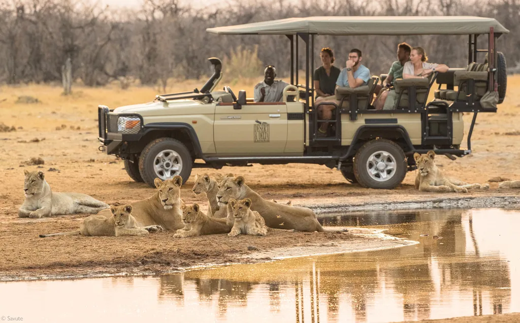 Botswana family adventure - 7 days