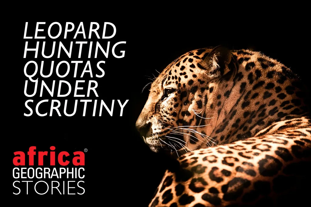 Leopard Hunting Quotas