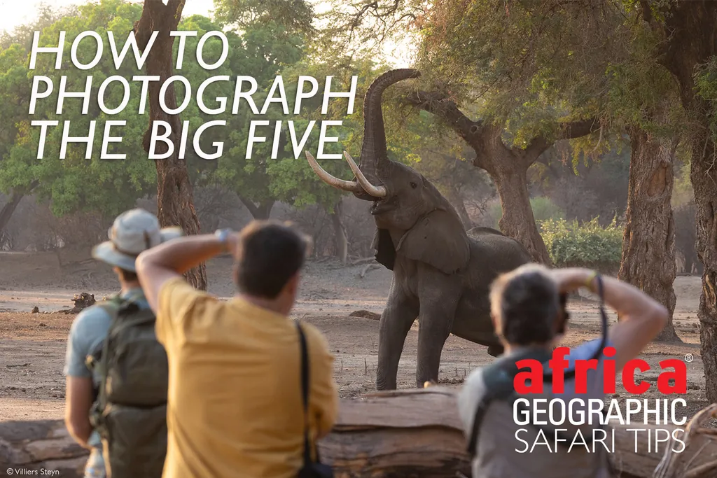 How to Photograph The Big 5