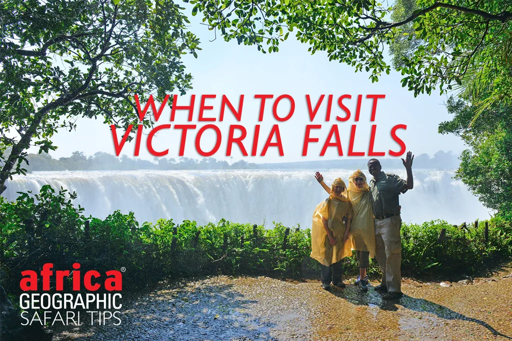 When to Visit Vic Falls