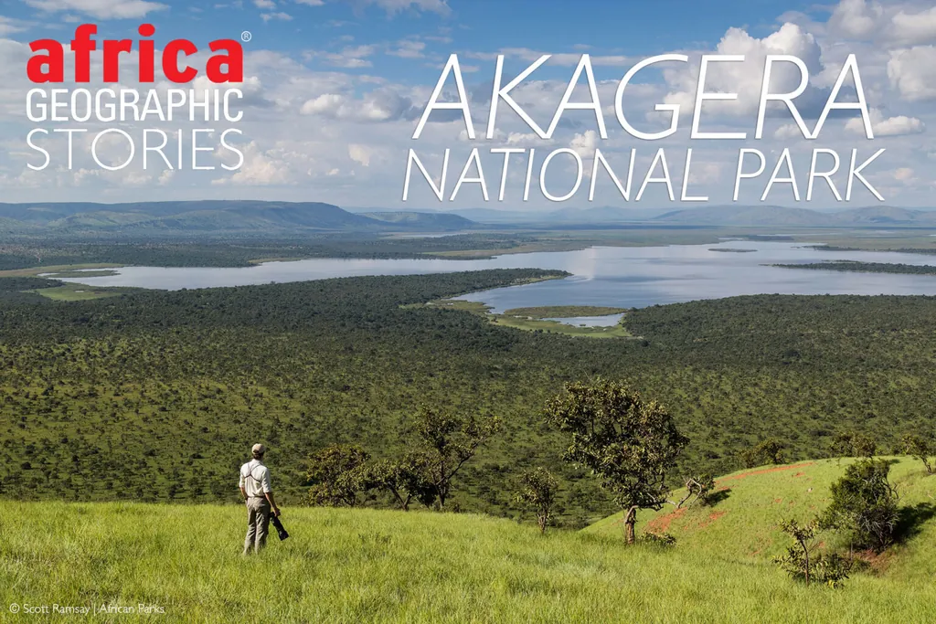 Akagera National Park