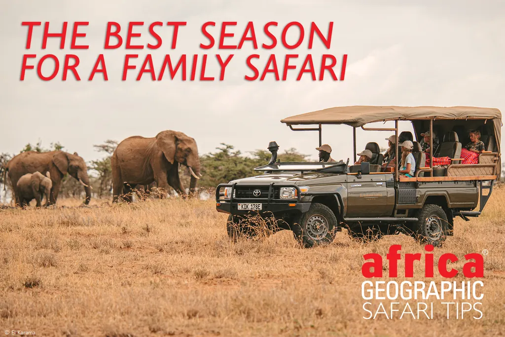 Family Safaris