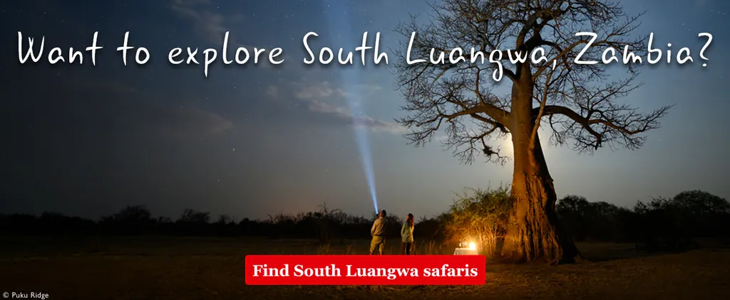 Explore South Luangwa